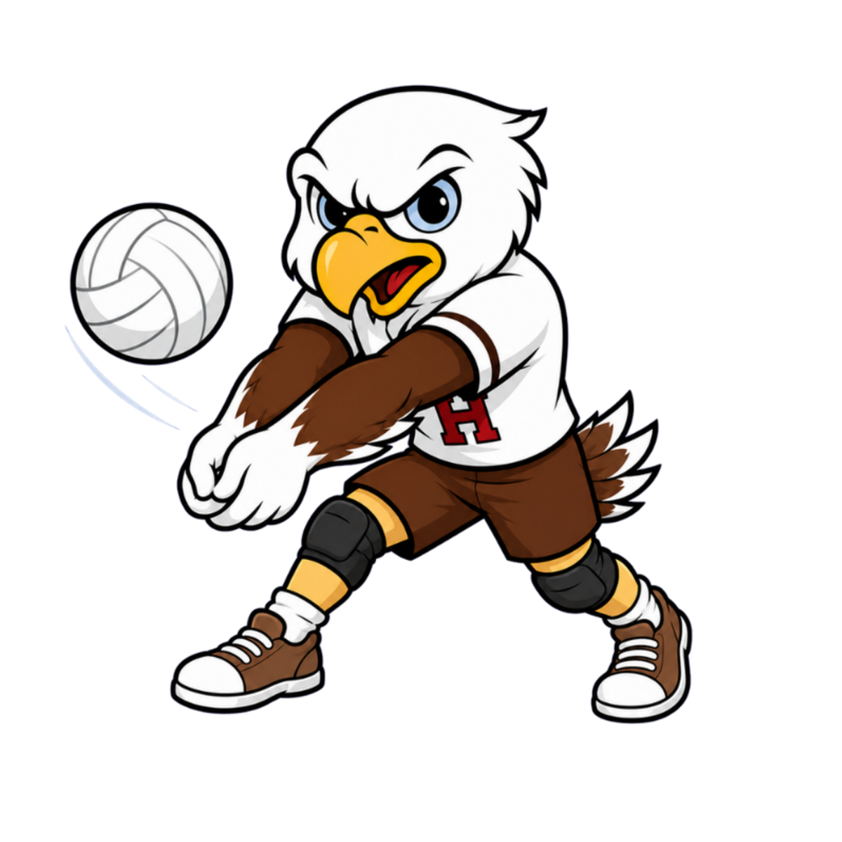 Heritage Eagles Volleyball Boys